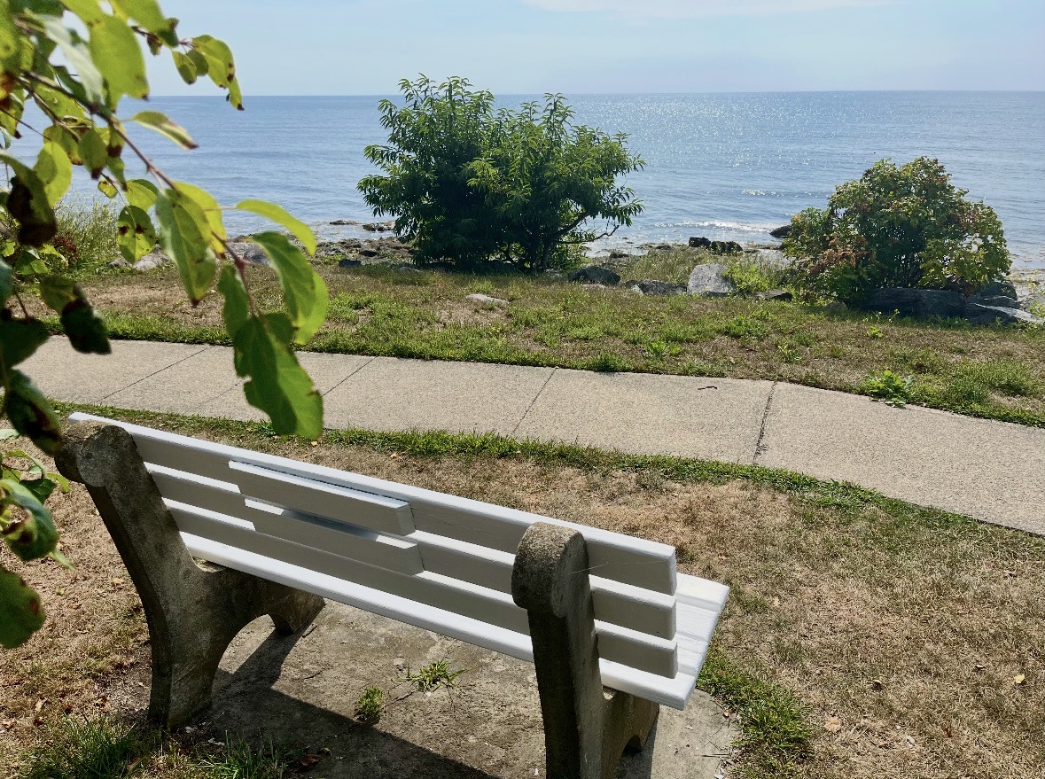A white bench along an oceanfront walking path