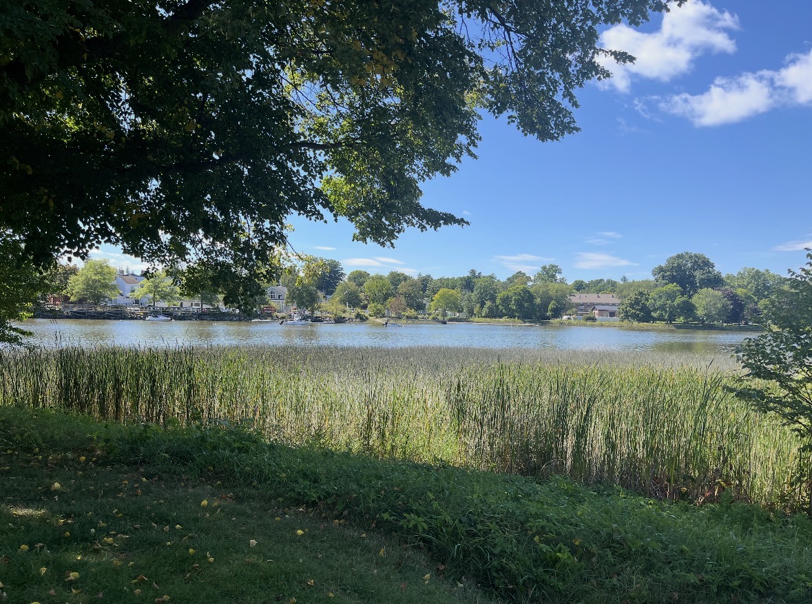 A quiet river bordered by reeds and leafy trees beneath a blue sky
