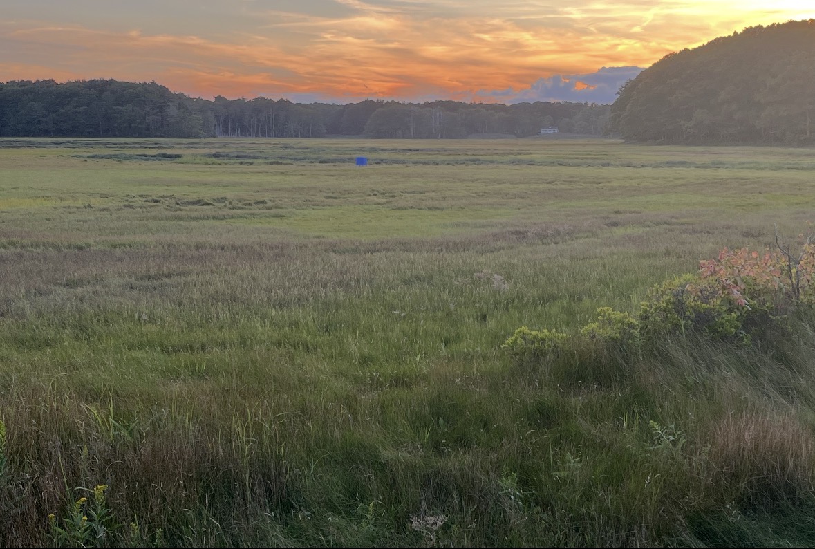Golden sunset over a green salt marsh and distant woodland